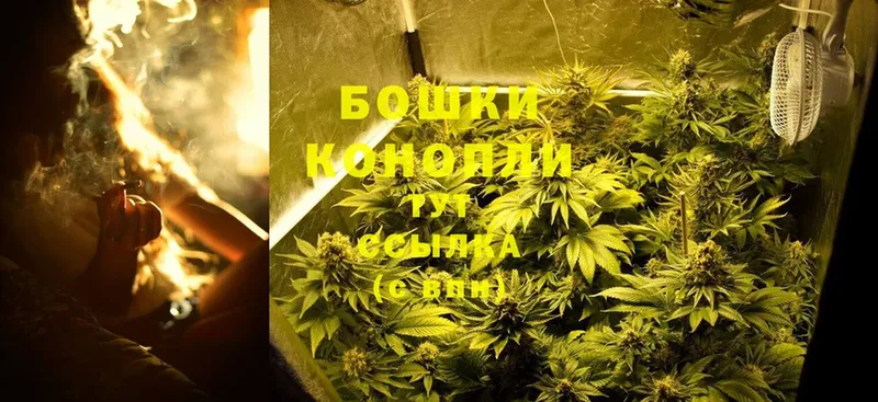 Шишки марихуана OG Kush  Голицыно 